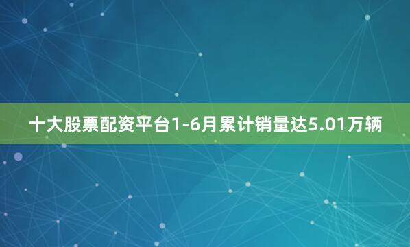 十大股票配资平台1-6月累计销量达5.01万辆