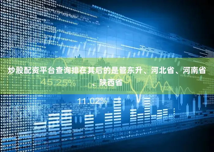 炒股配资平台查询排在其后的是管东升、河北省、河南省、陕西省