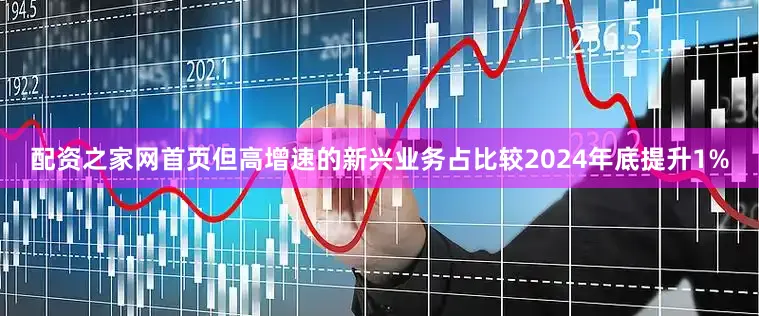 配资之家网首页但高增速的新兴业务占比较2024年底提升1%